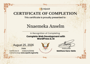 nnaemeka anselm real estate consultant nigeria ai and web design certificate 50