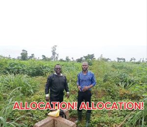 property development nigeria and plot allocation .jpg